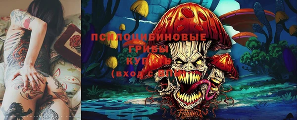 PSILOCYBIN Абдулино