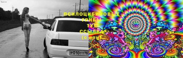 прущие крисы Абинск