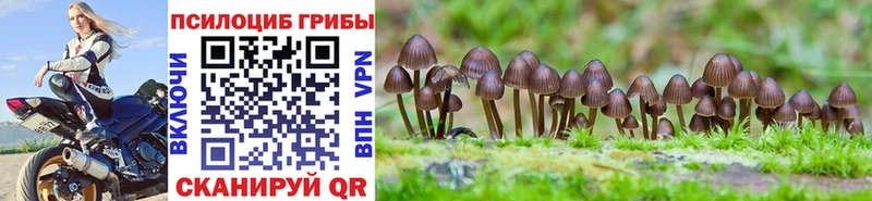 Галлюциногенные грибы GOLDEN TEACHER  Барыш 
