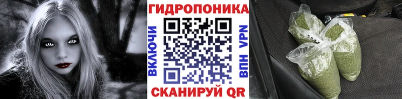 Каннабис OG Kush  Барыш 